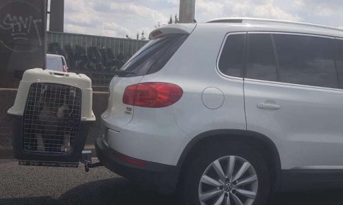 STOP AUX CAGES EXTERIEURES POUR TRANSPORT D'ANIMAUX.