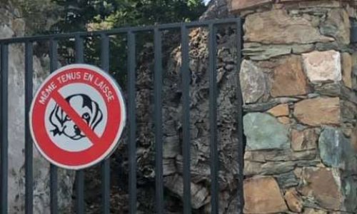 Enlever l'interdiction des chiens dans le parc public 