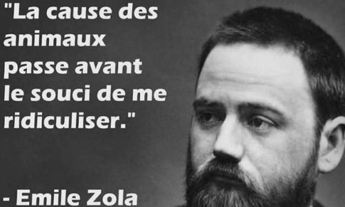Créer un fichier national des tortionnaires d'animaux