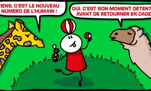 NON à la venue du cirque avec animaux MEDRANO à Confluence Lyon