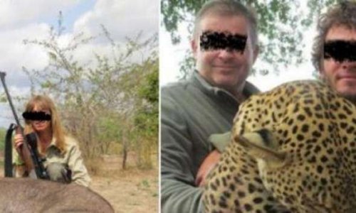 POURSUITES éternelles Contre les gérants d'un Super U après avoir massacré des animaux en Afrique !