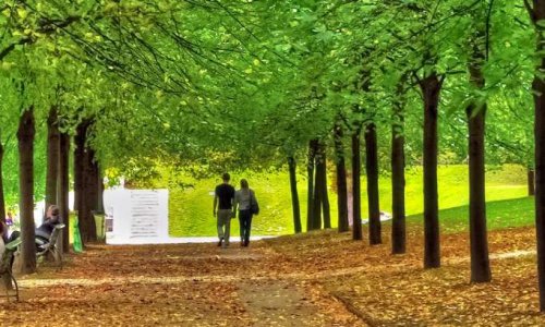 Monsieur le Maire d'Ajaccio, nous demandons des arbres pour l'ombre, la fraicheur, l'oxygène et la beauté nature sur le cours Napoléon.