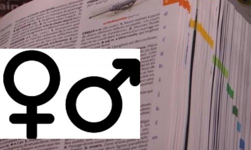 Féminisons TOUS nos mots !