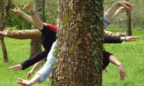 OUI pour SAUVEGARDER l'espace boisé classé des Portes de Taverny !