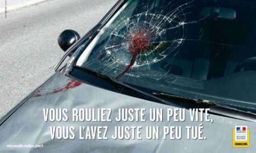 Mise en place de dispositif de ralentissement d'automobiles suite à des atteintes à la vie d'un animal causé par des vitesses excessives.