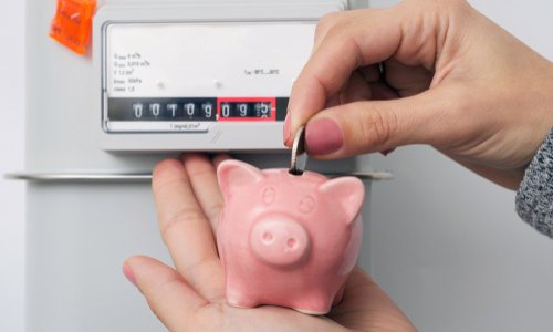 Non! Vous ne nous humilierez plus