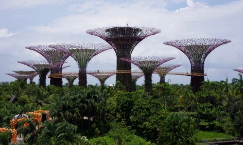 Non à la 5 G à la réunion !