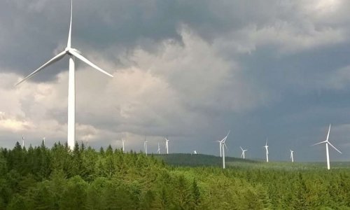 Pas une éolienne de plus sur la montagne noire !
