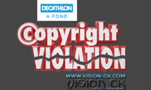 VISION CK est victime d'un Vol de Droit d'Auteur par DECATHLON