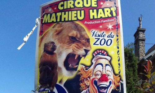 Contre les cirques avec animaux à PLERIN (22190)