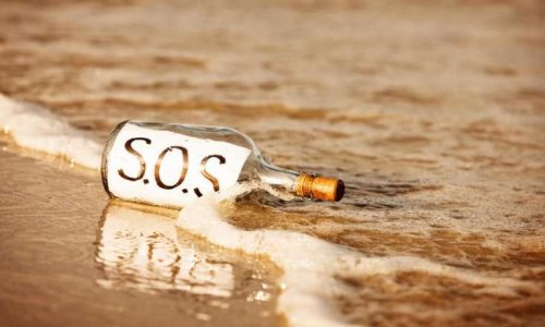 G&eacute;rons, contr&ocirc;lons, prot&eacute;geons ensemble la population de chats errants sur la commune de VOUZIERS.