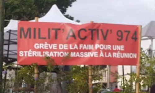 Grève de la faim pour mettre fin à l'errance animale à la Réunion