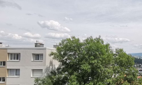 Contre l'installation de l'antenne Bouygues Télécom à Saint Priest En Jarez