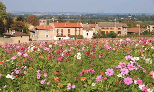 Marcilly d'Azergues : pétition contre l'urbanisation anarchique des promoteurs sur la commune