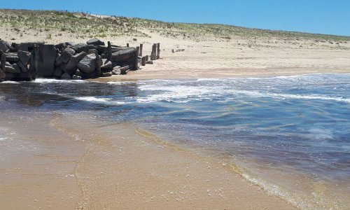 Stop aux rejets industriels