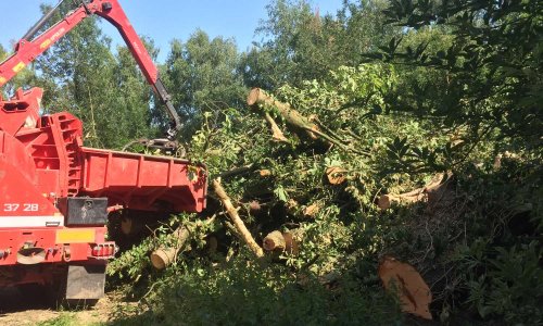 Sauvons les arbres de Seclin
