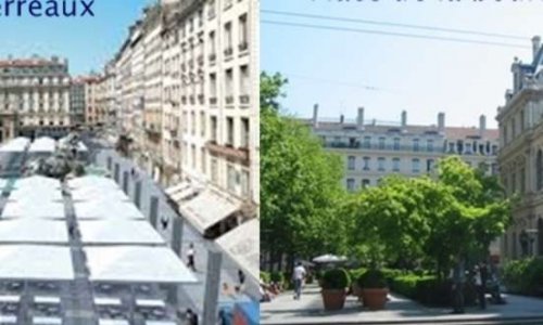 De la verdure en centre ville Lyon pour le climat
