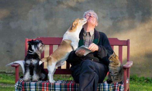 OUI aux animaux de compagnie dans les maisons de retraite !