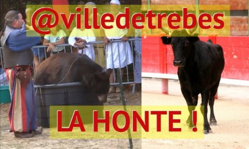 Festad'oc de Trèbes : la fête de la honte et du mal-être animal (taureaux, ours, rapaces...)