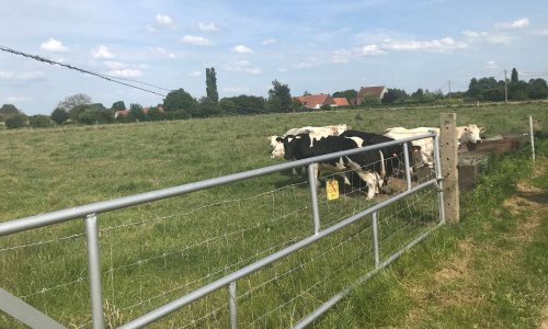 De l’ombre pour les animaux en prairies