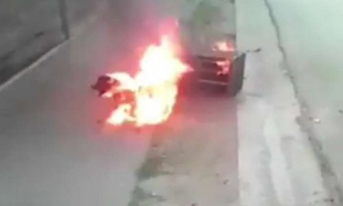 Sanction pour ceux qui ont brûlé un chien à Cuba