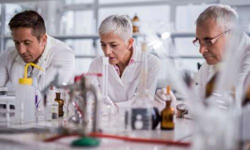 Alzheimer et maladies apparentées : pour plus de financements publics alloués à la recherche sur la prévention