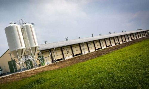 NON au projet d'exploitation des 40 000 poules à Dormans