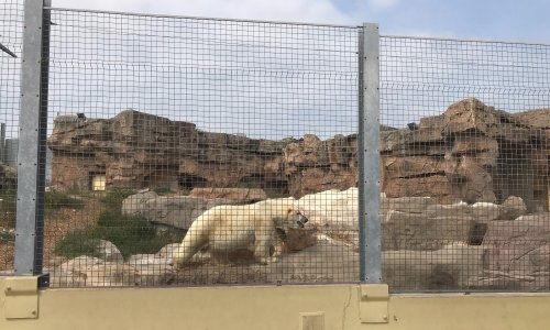 Pour la fermeture de MarineLand