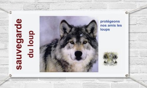 Pour une cohabitation pacifique entre les loups et les hommes