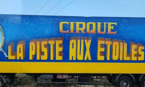 NON au cirque 