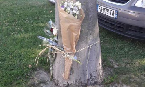 ORANGE : pour ne plus mourir sur un passage piéton, faire du cœur de ville une zone à 30 km/heure !