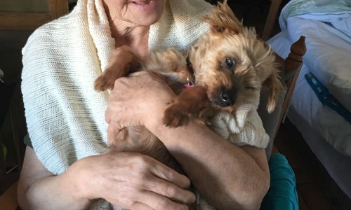 Pour que la vérité éclate sur l'inquiétante disparition de notre petit ange aveugle, Délie, 12 ans ...