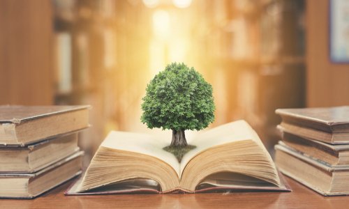 Création d’un tribunal international pour juger les crimes contre la Terre et la biodiversité