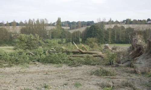 Protégeons les haies des Collines du Perche