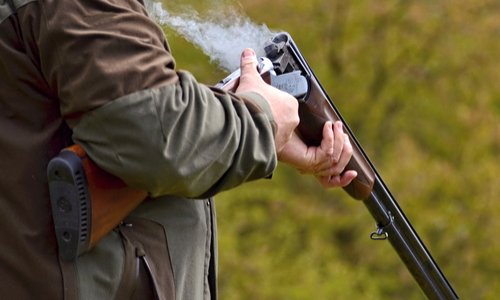 Contre les décisions arbitraires liées au lobby de la chasse