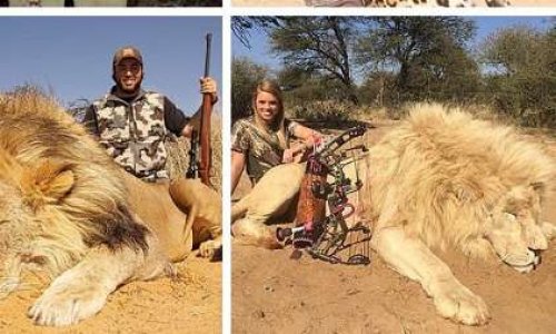 ARRETER LE MASSACRE DE LA BRACONNIERE KENDALL JONES