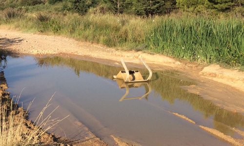 REHABILITONS L'ANSE DES GALERES