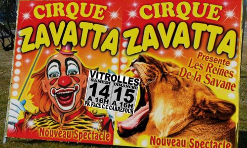 STOP AUX CIRQUES AVEC ANIMAUX A VITROLLES (13)