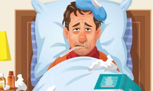 Ajouter un article de loi pour les assurances collectives