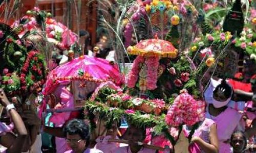 Stop aux sacrifices d'animaux au nom de la religion tamoule