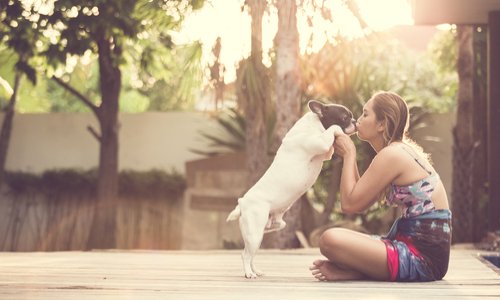 Contre la garde d'animaux de compagnie par des plateformes non-professionnelles
