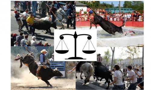 NON aux activités taurines hors départements taurins !