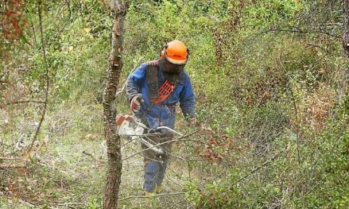 Obligation Légale de Débroussailler. Aberrations relevées dans l'application de la loi.