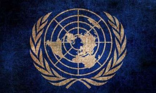 Pour la création des postes de représentant de la protection animale au sein de l'ONU