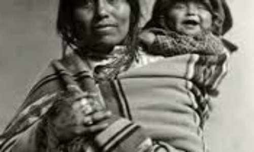 Intercession pour les animaux