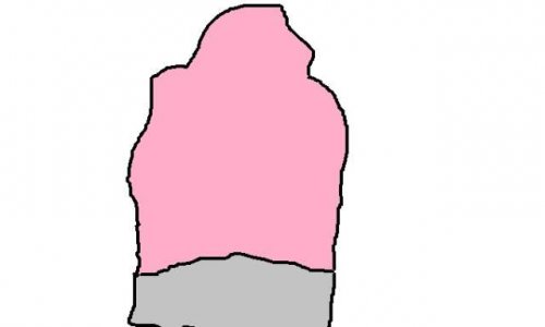 POUR UNE PRISE EN CHARGE A 100% PAR LA SECURITE SOCIALE DES GANTS DE TOILETTES JETABLES A USAGE UNIQUE POUR LES GENS AYANT UNE PEAU SENSIBLE OU IRRITE VOIR SAIGNANTE OU MALADE