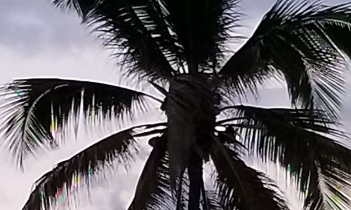 Santiago de Cuba Allonger la saison touristique / Lengthen the tourist season