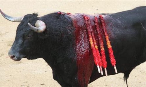 Interdiction des corridas aux mineurs