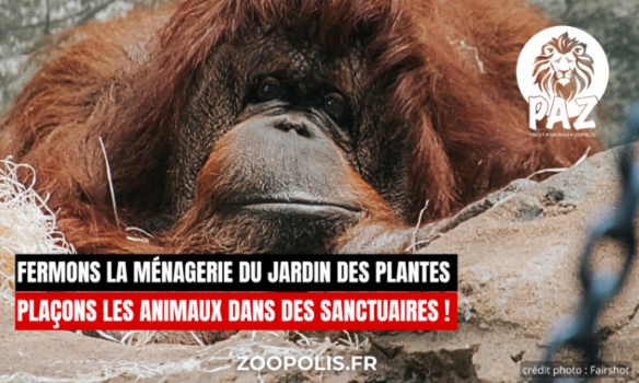 Fermons la Ménagerie, le zoo du Jardin des Plantes de Paris