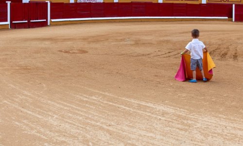 Pour la fermeture des écoles de corrida